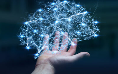 Neural Network